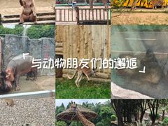 -贵州森林野生动物园