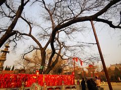-大槐树寻根祭祖园
