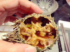 海胆-半岛翡丽海鲜自助餐厅(观风亭店)