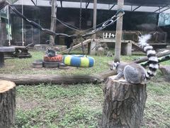 -西安秦岭野生动物园