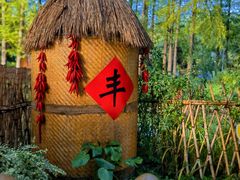 -东平国家森林公园