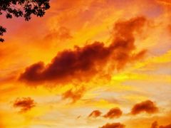 -浦江镇(地铁站)