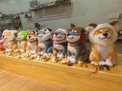 -柴务处·柴犬主题狗咖