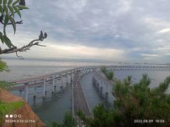 -星海湾跨海大桥