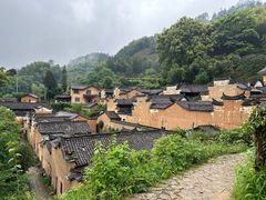 -杨家堂村