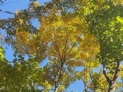 -北京雁栖湖国际会展中心