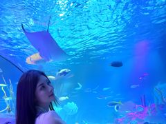 -沈阳海洋探索中心