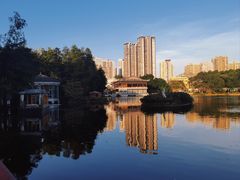 -荔湾湖公园