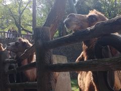 -昆明动物园