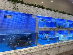 -香山湖渔家大院