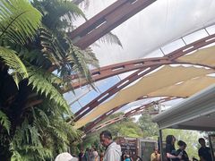 -怀托摩萤火虫洞