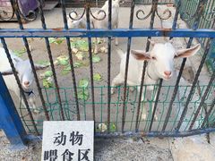 -上海佘山世茂艾美酒店