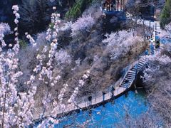 -北京凤凰岭