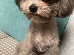 -沐沐家宠物(成寿寺店)