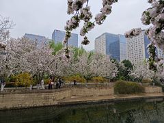 -海棠花溪(元大都城垣遗址公园)