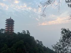 -缙云山景区
