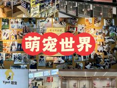 -翊宠yipet猫狗购宠庄园犬舍•猫舍
