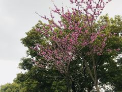 -堤角公园