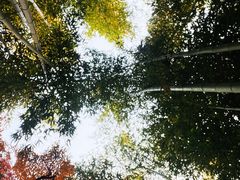 -汇龙潭