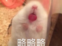 -中海环宇荟
