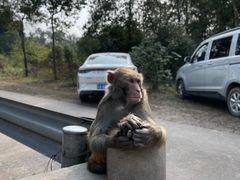 -重庆雨台山风景区