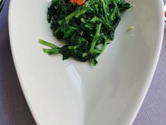 清炒豌豆尖-梧桐