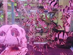 -三旗百汇商品城