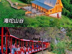 -桔子文创·企业团建·活动策划·拓展会议