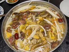 -菌极鲜野生菌火锅店(阳明祠店)