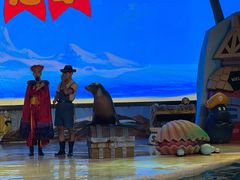 -三亚海昌梦幻海洋不夜城