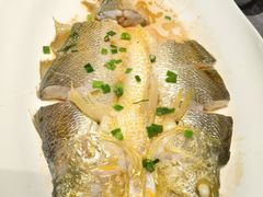 -1937青岛老味道·海肠捞饭·青岛菜(大鲍岛栈桥店)