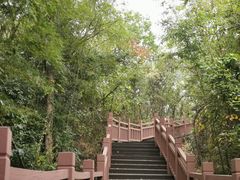-游子山休闲旅游区