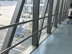 -青岛胶东国际机场