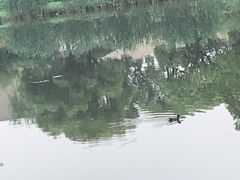 景点-新江湾城公园
