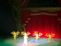 -珠海横琴长隆《卡卡虎奇遇记》