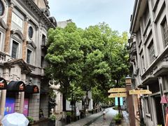 -南宋御街