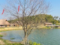 -良渚古城遗址公园