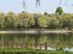 -长春市南湖公园