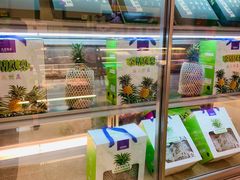 -GANSO元祖食品(黄田坝店)