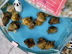 -晓伟海鲜家常菜