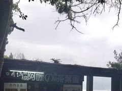 -金盆阿嬷香菇茶叶蛋(玄光店)