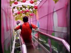 -牛鱼嘴原始生态风景区