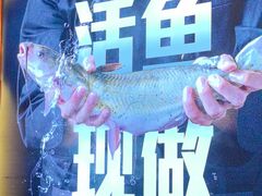 -老板恋上鱼(恒隆广场店)