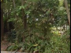 -漳州佰翔圆山酒店·圆山畔西餐厅