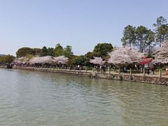 -无锡蠡湖国家湿地公园-蠡园
