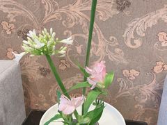 -黄岩国际大酒店·餐厅