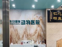 -东日国际动物医院·CT·心脏专科(桃源分院)