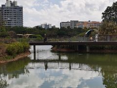 -福田红树林生态公园