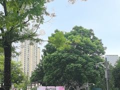 -铁像寺水街