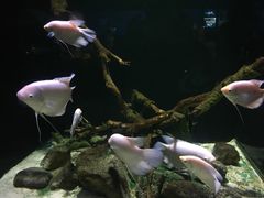 -重庆欢乐海底世界